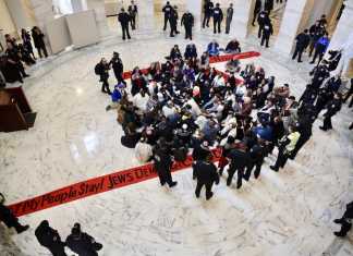 Activistas arrestados por protestar en el Congreso para proteger a los «Dreamers» (inglés)