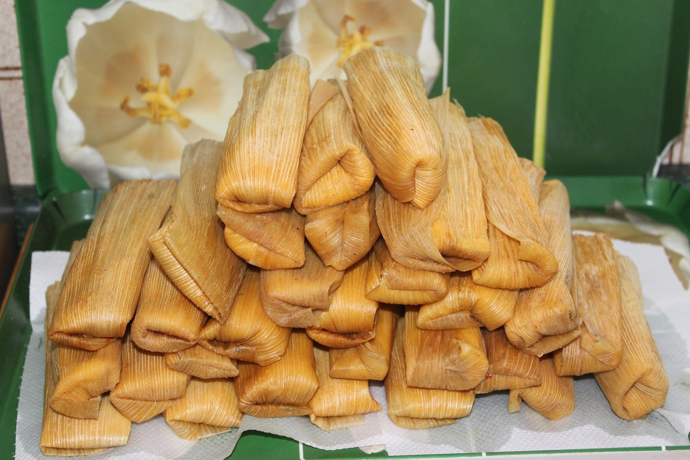 Los principales tipos de tamales en México