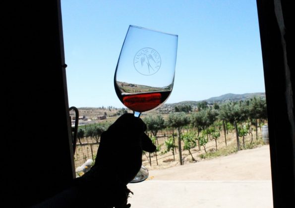 El vino de Baja California: terroir y enoturismo