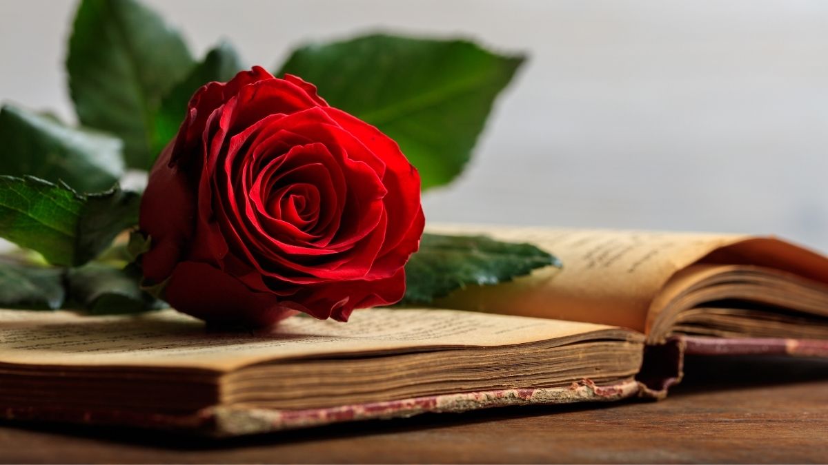 ¿Por qué se regala un libro y una rosa el 23 de abril? Día Internacional del Libro 2022