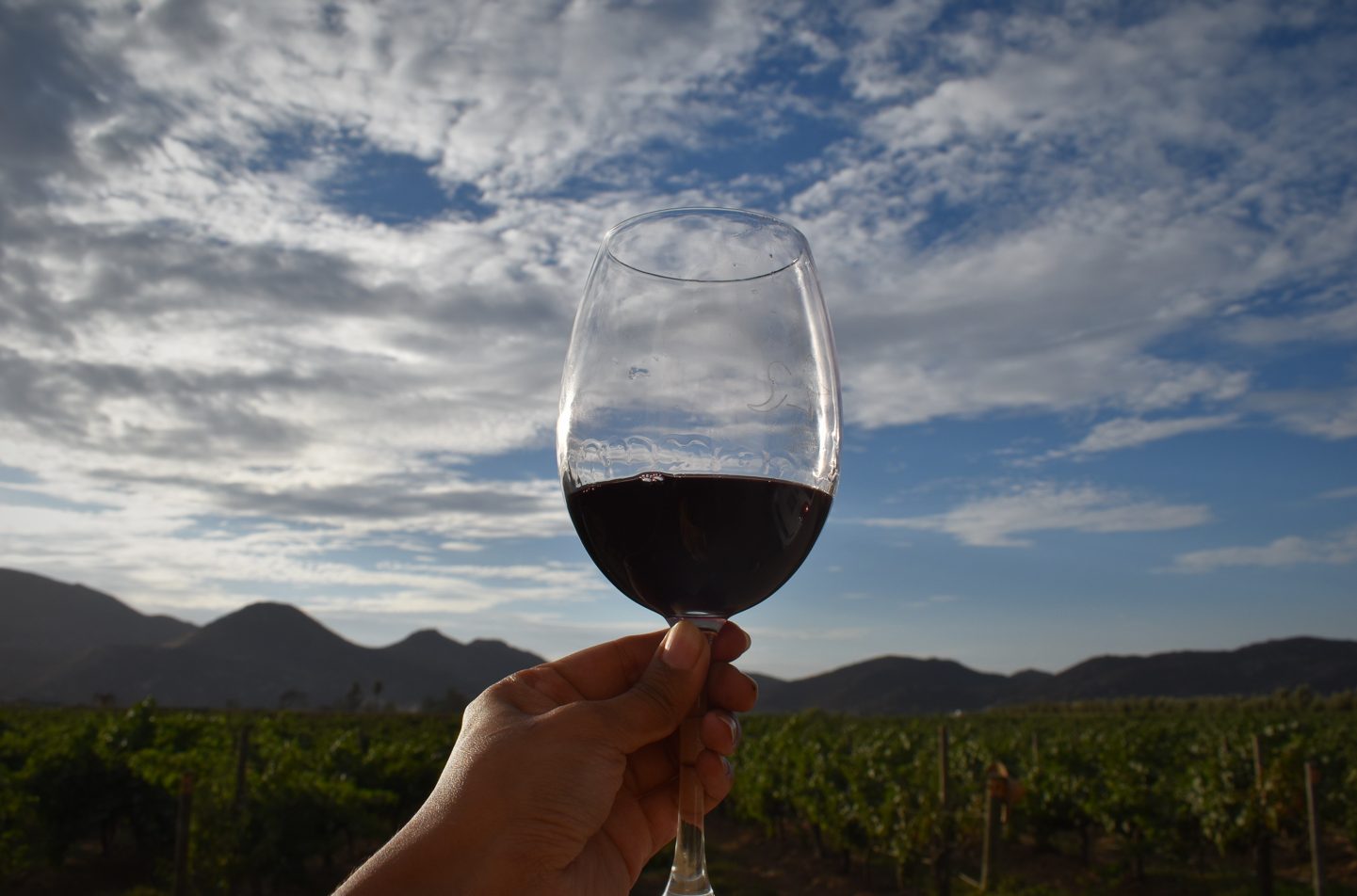 Celebra el Día Internacional del Cabernet Sauvignon con un vino de Baja California