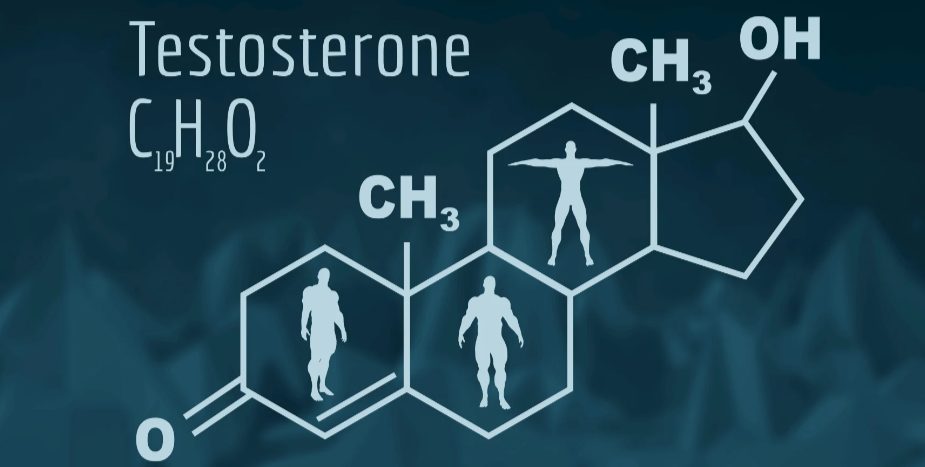 Medicinotas. Episodio 2. La testosterona ¿Qué pasa si mis niveles son altos? ¿Por qué es importante para el cuerpo? Octubre 12, 2022.