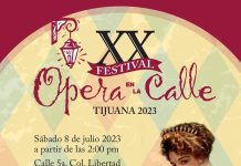 XX Festival Ópera en la Calle